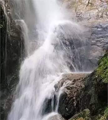 白百合吃早餐，没有化妆，直接素面朝天吃着油条，状态自然松弛